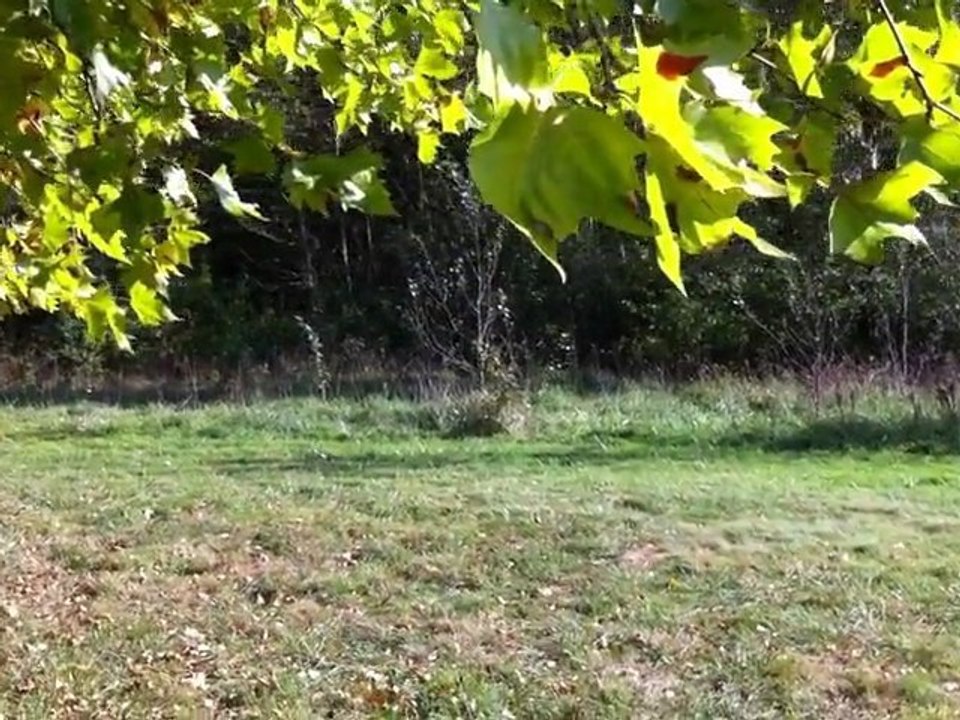 Vente château sur Nantes métropole - château historique aux portes de nantes - 8 hectares naturels