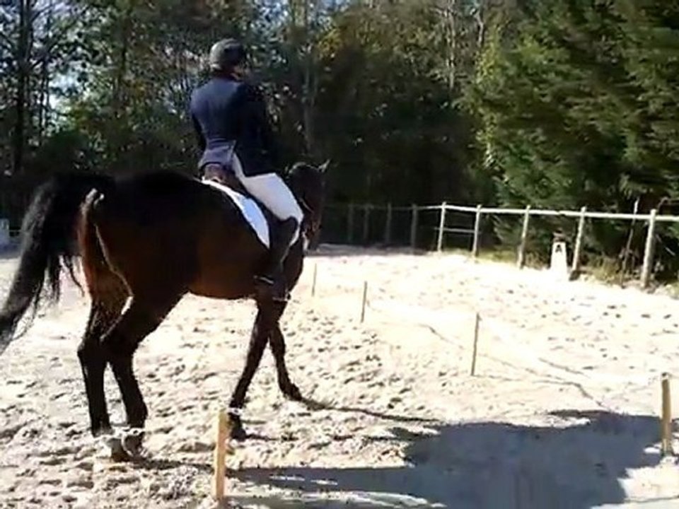 Einstein & Pauline - C4 - Hautefeuille - Oct 11