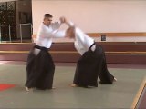 Gyaku-hanmi Katate-Dori Hiji-Kime-Osae