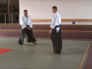 Ryote Dori Tenshi Nage