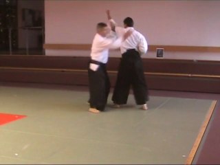 Jodan-Tsuki Irimi-Nage Ura
