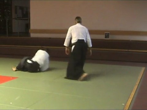 Katate-Ryote Dori Irimi-Nage Ura