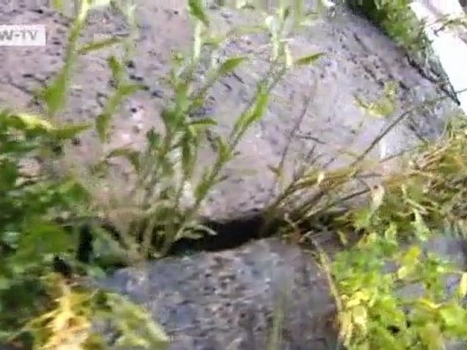 highlights - 15.10.2011 | euromaxx