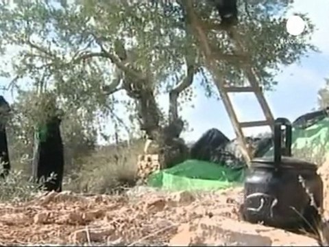 Scambio prigionieri Israele e Hamas atteso nel Sinai