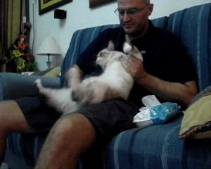 CEPILLANDO A MI GATA / HAIR BRUSHING MY CAT