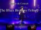 Extrait du concert "The Blues Brothers Tribute"