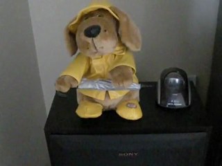 Singing in the rain with TouTou