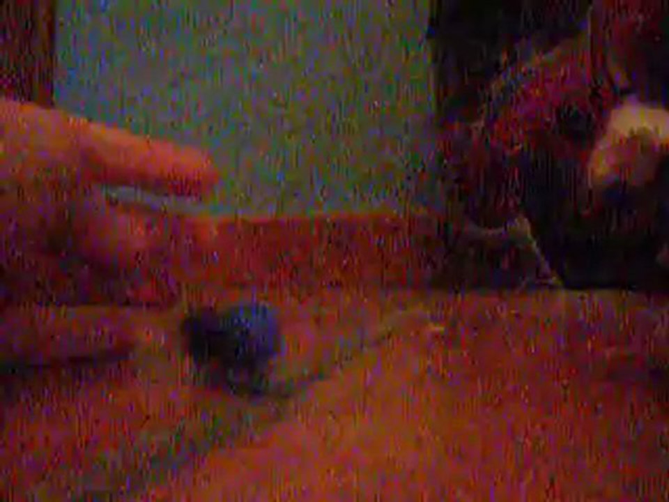 aventure lego 04 et ameliorations de ma maison;la presentation de la maison de 13400kakashi