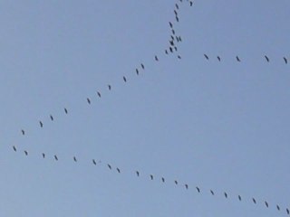 Un après midi d'automne 2011 à Buros
