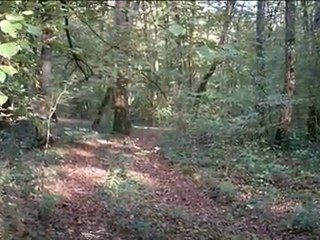 Descente mtb Max elange