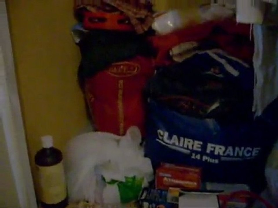 Mario Projet Jackson