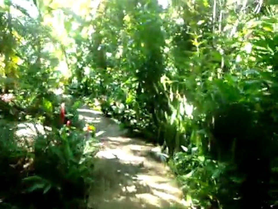 Arrivée gite deshaies guadeloupe