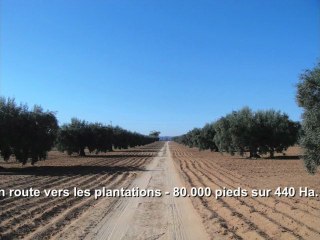 Les Huiles d'Olives OXO