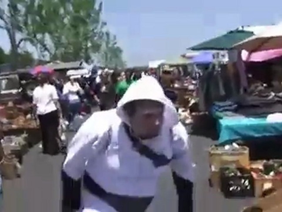 Assassin's Creed In Real Life