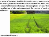 The Myriad Sources of Alternative Energy