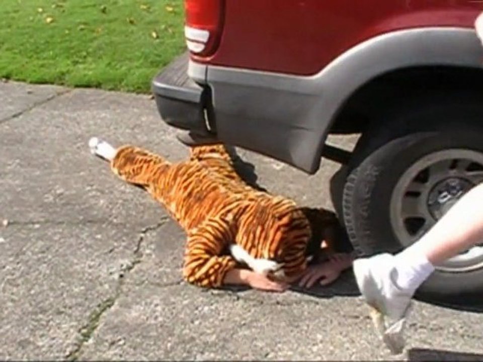 Tiger Attack 5
