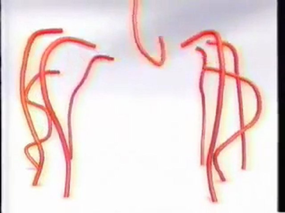 1996_Twizzler_Pull_n_Peel_Commercial