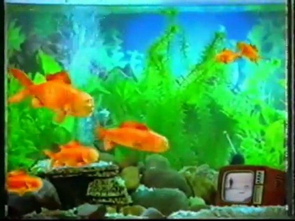 Bravo_-_Discovery_Channel_Intro_1996