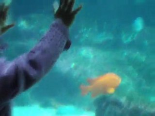 At the Birch Aquarium_Oct.16.2011