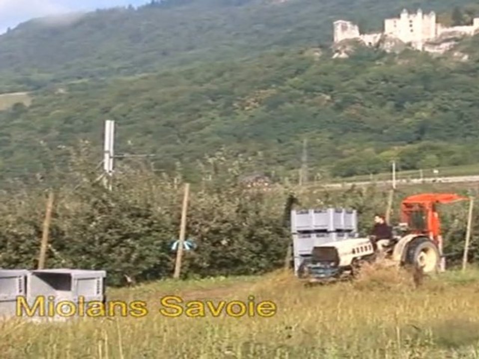 Les bonnes pommes, c'est sans pesticides !