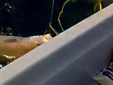 jigging tekniği ile balık avı: Mevlüt SERİN aktaş 10.4kg akya