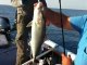 jigging tekniği ile balık avı: Hakan ÇEBEN 24.09.2011 manavgat 2kg akya