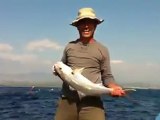 jigging tekniği ile balık avı Mevlüt SERİN 24.09.2011 manavgat 6kg akya