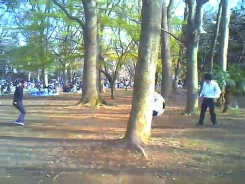 Mega Hanami 2010