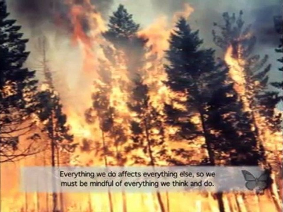 Taking Care of Our World: Wisie Wisdom Video for Children