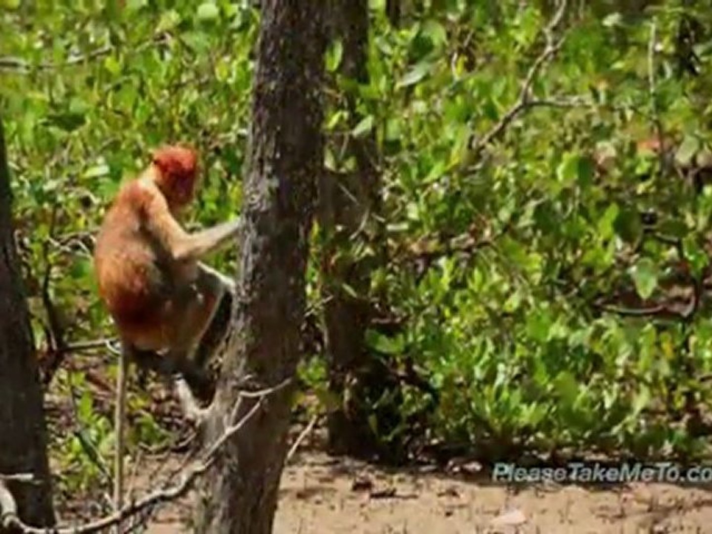 Malaysia - Travel Video (1080HD)