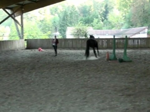 Entraînement voltige et liberté