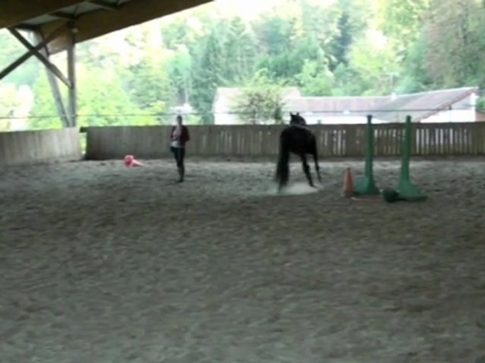 Entraînement voltige et liberté