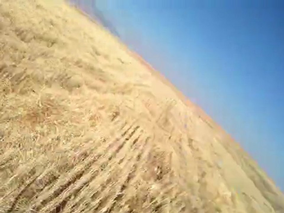 "PRADA"KURZHAAR VON KONYA 15.10.2011  BILDIRCIN