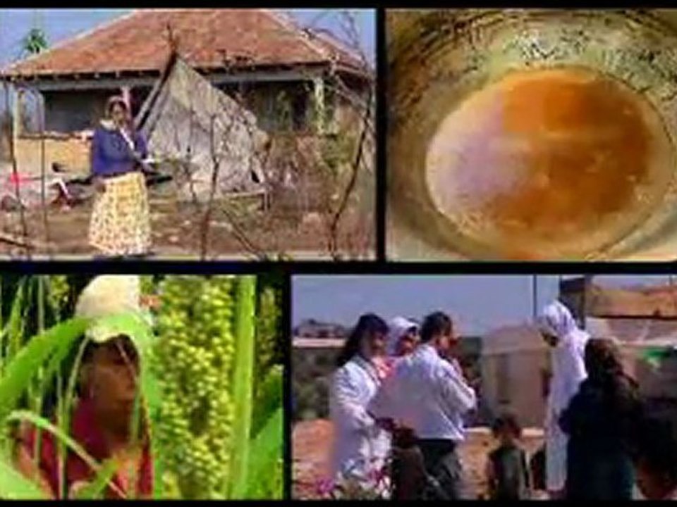 Présentation du CCFD-Terre Solidaire