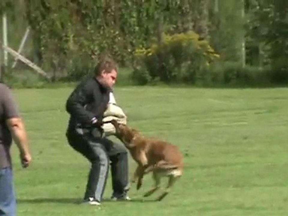 Sammer-Greta-Zirbenlandturnier-2011-Schutz