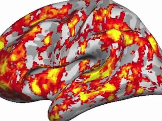 La galanterie des grillons révélée