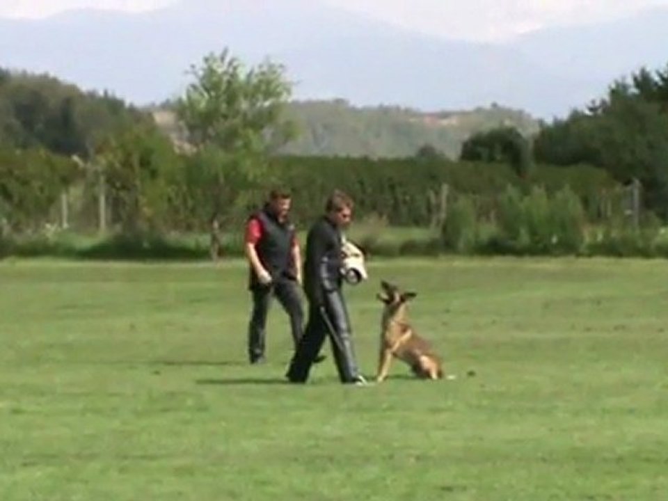 Gruber-Apollon-Zirbenlandturnier-2011-Schutz