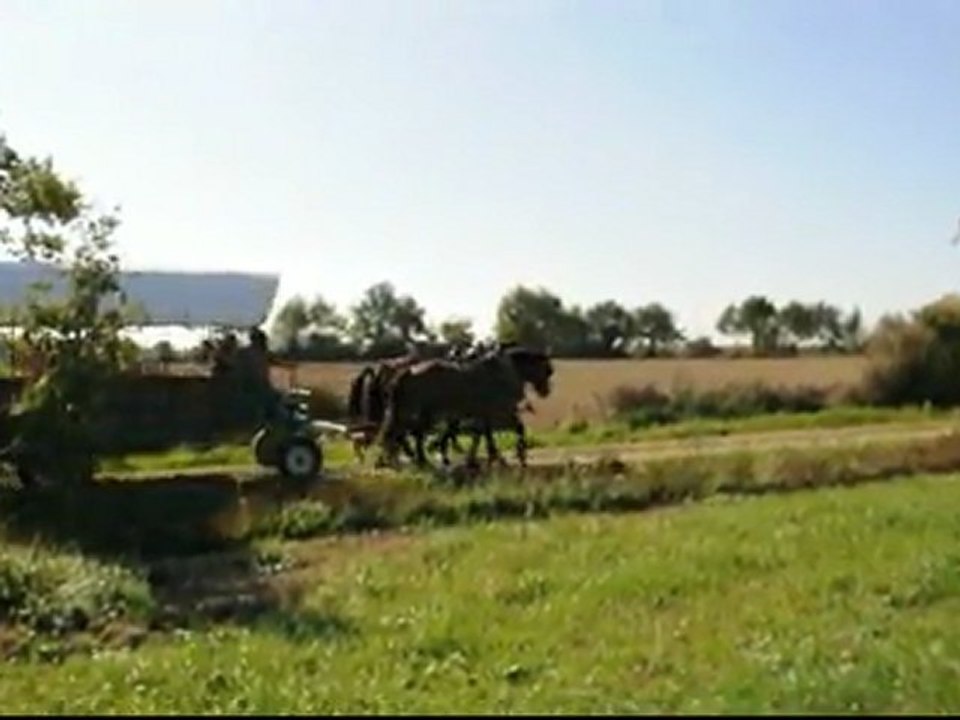 week-end calèche à la borderie de la Marchaizière en Vendée