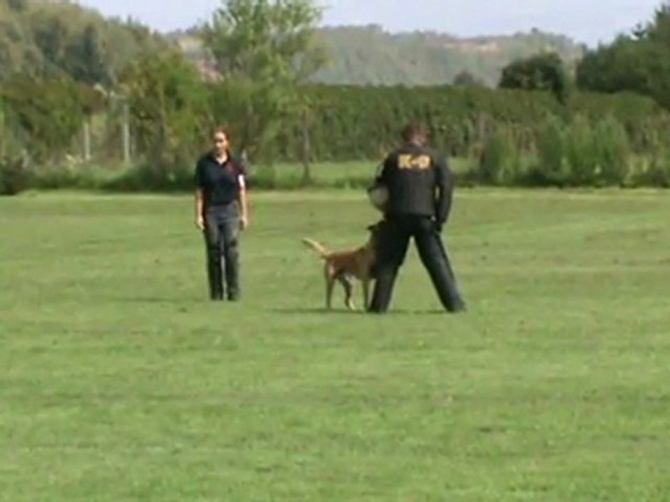 Knittelfelder-Benyi Boy-Zirbenlandturnier-2011-Schutz