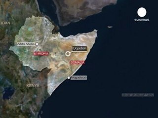 El jefe de la diplomacia sueca acusado de conflicto de...