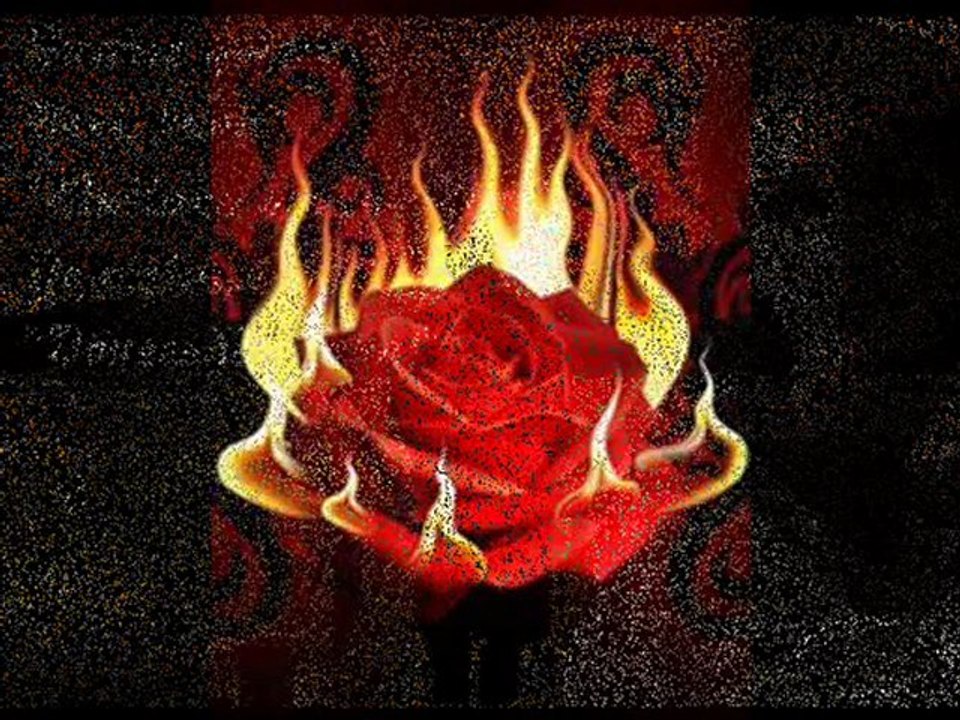 ınadına damar yasaklı sevdam azime öz