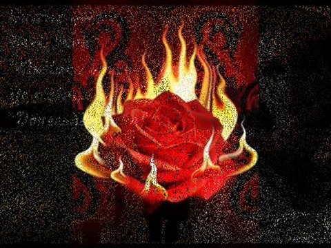 ınadına damar yasaklı sevdam azime öz