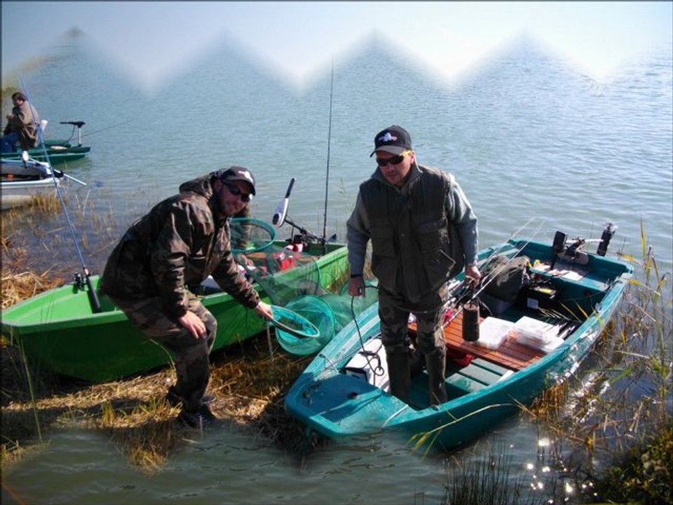 Concours carnassiers de Villeneuve sur Yonne le dimanche 16 octobre 2011