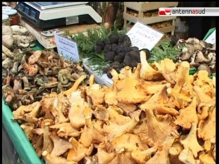 TG 17.10.11 "Profumi e sapori d'autunno" per le vie di Cassano