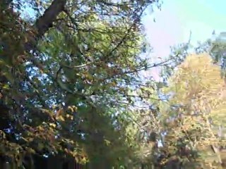 THOIRY : symphonie pastorale dans le parc du château