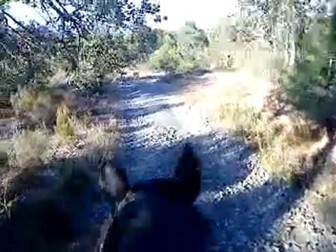 Karta pieds nus dans les cailloux....Pas de problème!