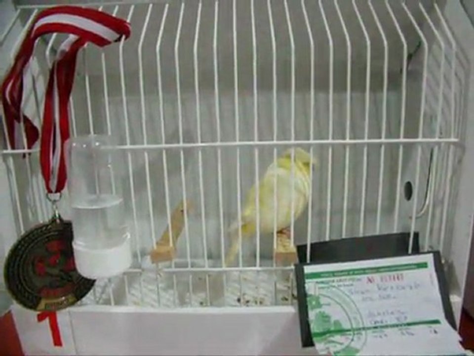 LIPOCHROME TEPELİ-1 KÜTAHYA | 2011