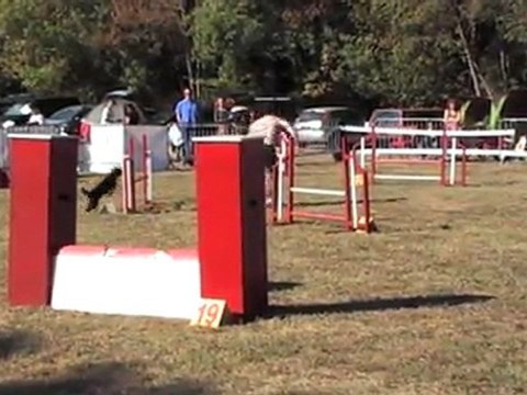 DEGRE CCABS 161011 BRUNETTE