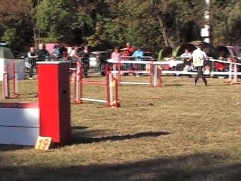 DEGRE CCABS 161011 CERISE