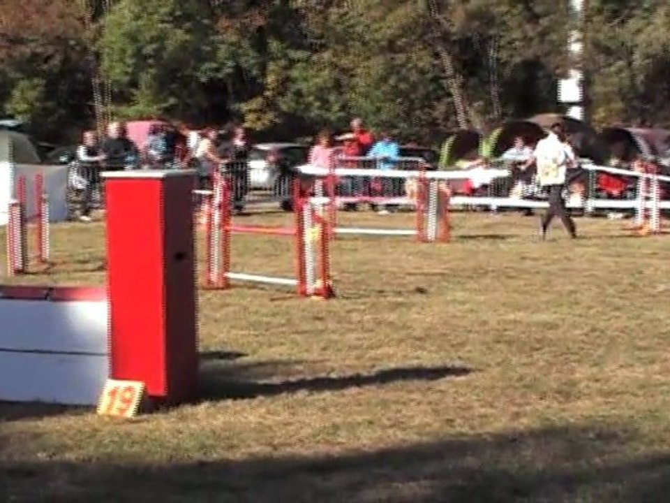 DEGRE CCABS 161011 CERISE